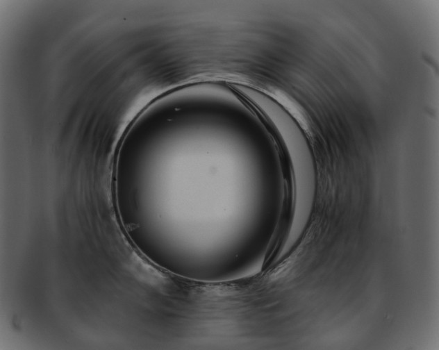 X0000093231102200710031453