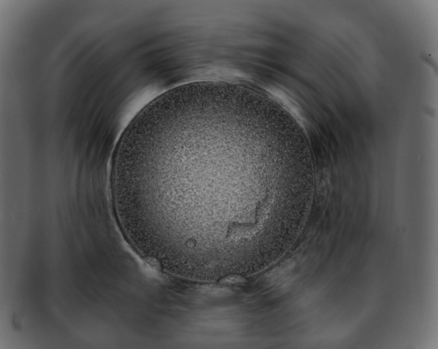 X0000093231103200710031453