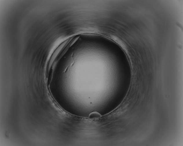 X0000093231104200710031453