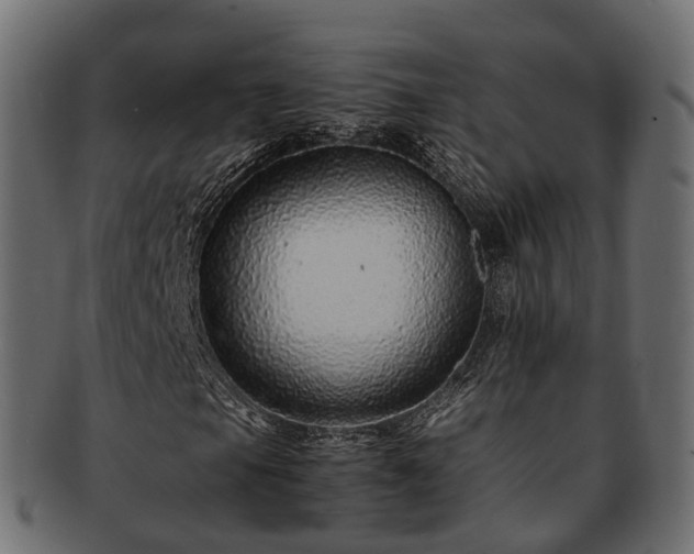 X0000093231105200710031453