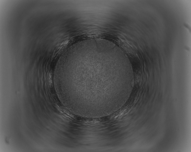 X0000093231106200710031453