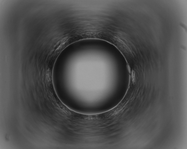 X0000093231107200710031453