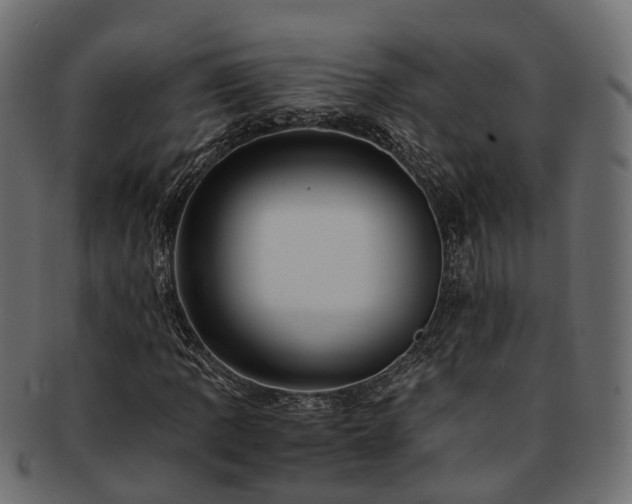 X0000093231109200710031453