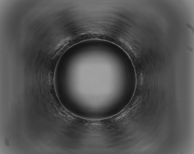 X0000093231110200710031453