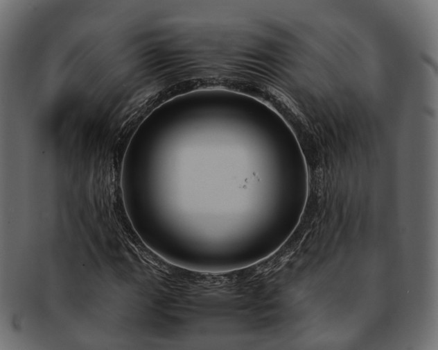 X0000093231111200710031453