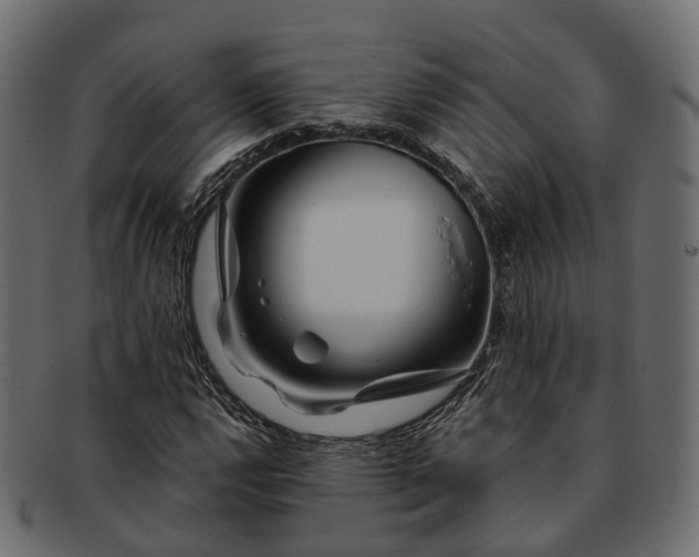 X0000093231112200710031453