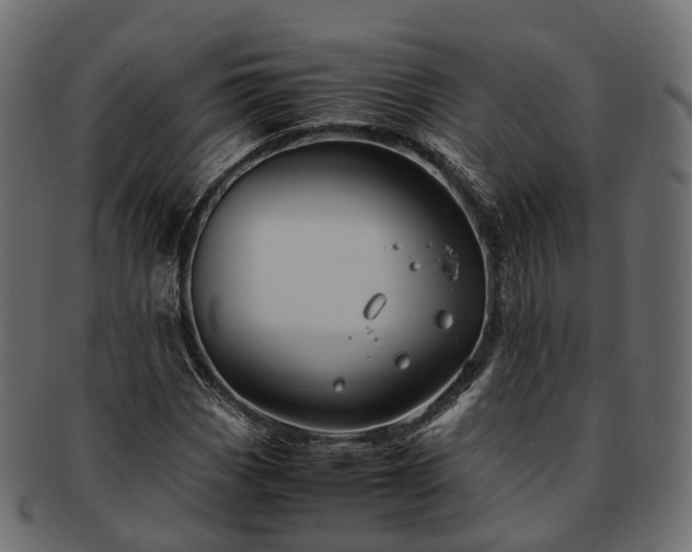 X0000093231113200710031453