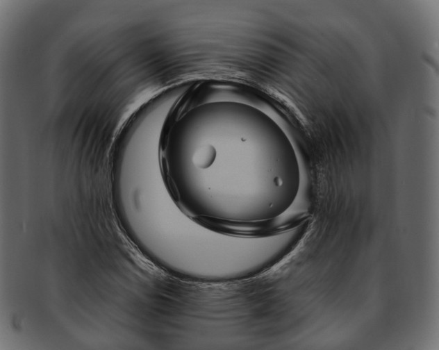 X0000093231114200710031453