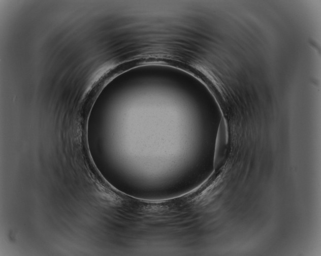 X0000093231115200710031453