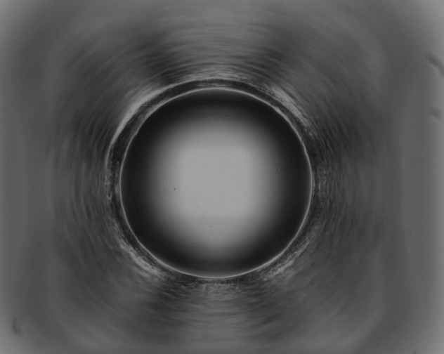 X0000093231116200710031453