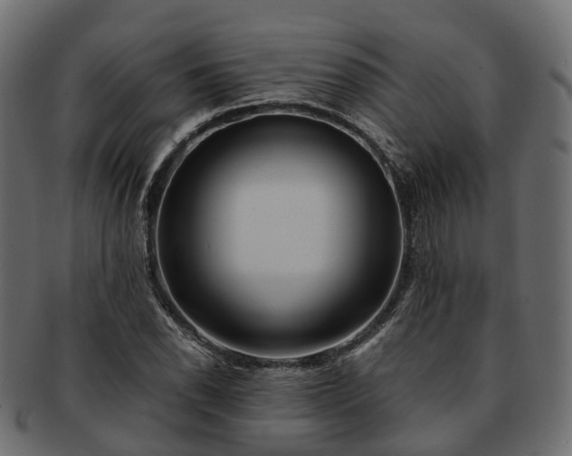 X0000093231118200710031453