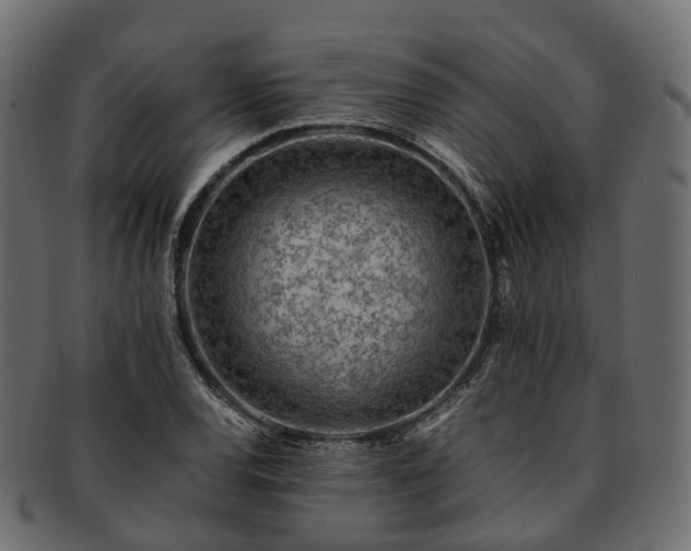 X0000093231120200710031453