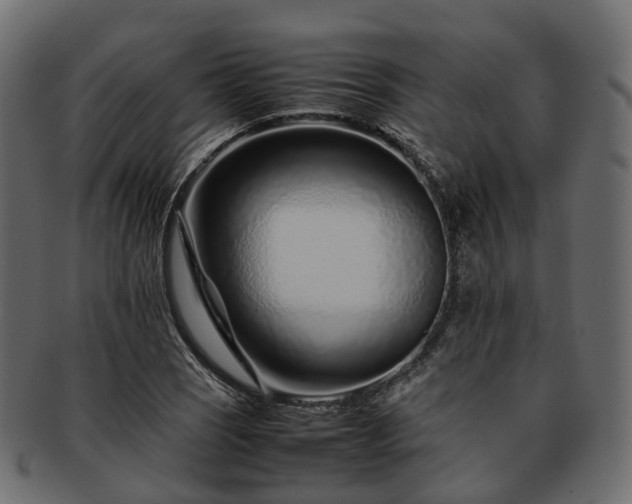 X0000093231121200710031453