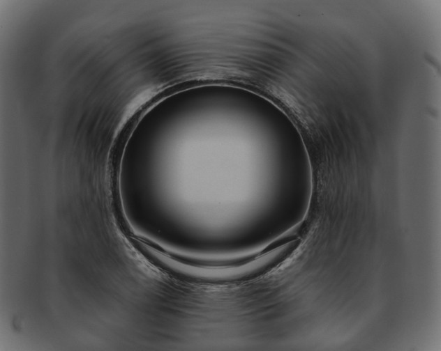 X0000093231122200710031453