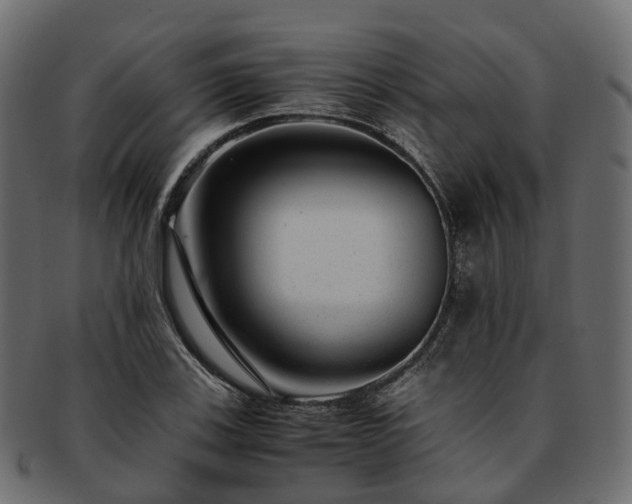 X0000093231123200710031453