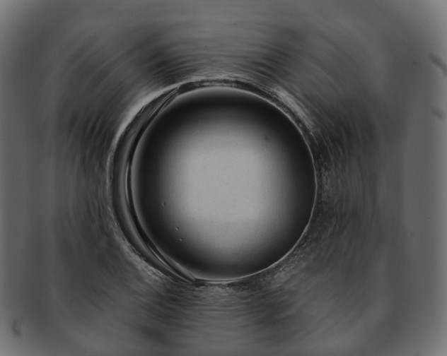 X0000093231124200710031453