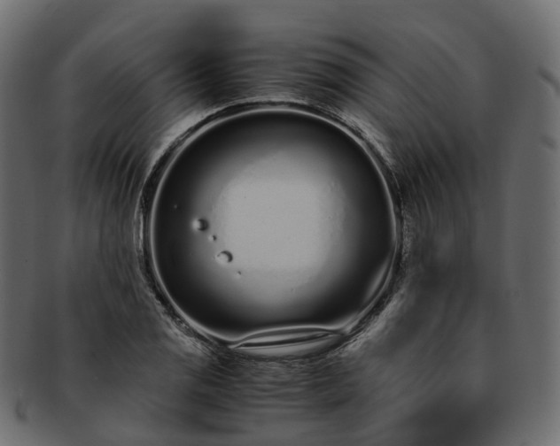 X0000093231125200710031453