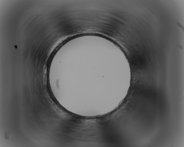 X0000093231126200710031453