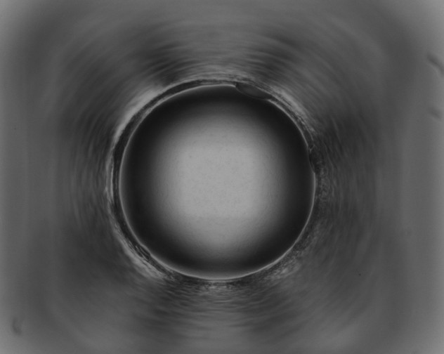 X0000093231128200710031453