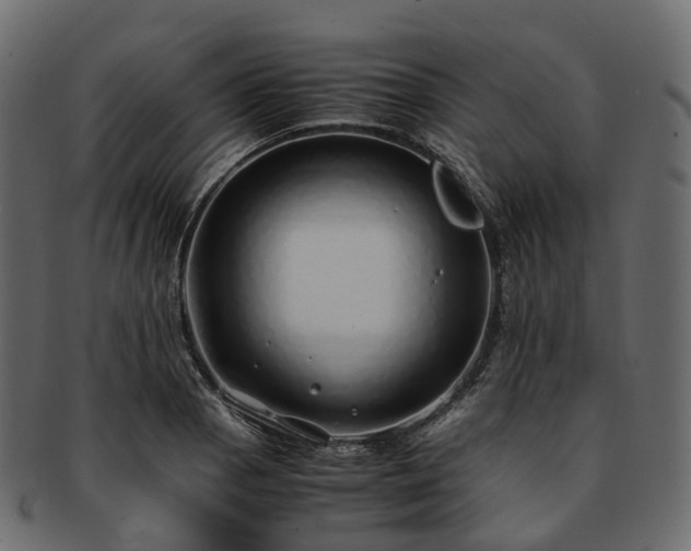 X0000093231129200710031453