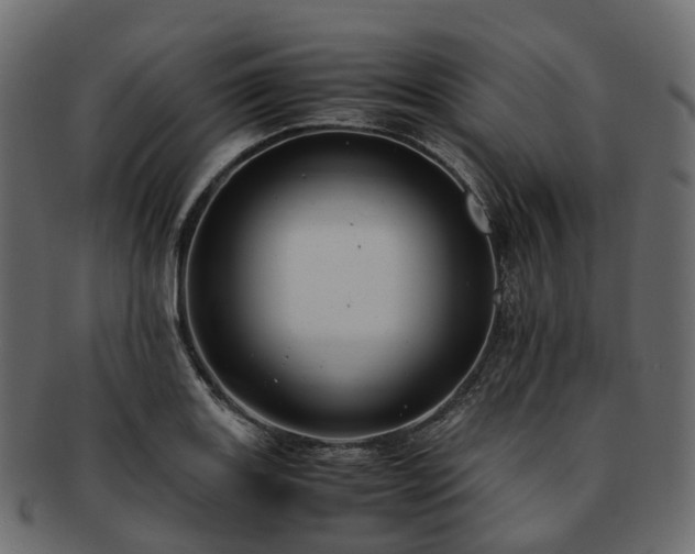 X0000093231131200710031453