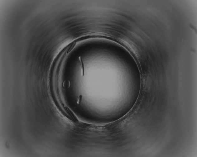 X0000093231133200710031453