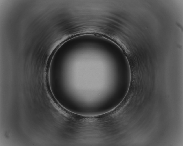 X0000093231134200710031453