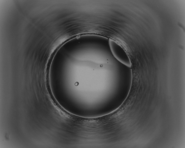 X0000093231135200710031453