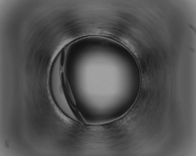 X0000093231136200710031453