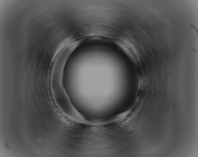 X0000093231138200710031453