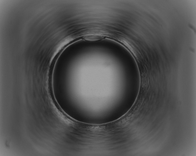 X0000093231139200710031453