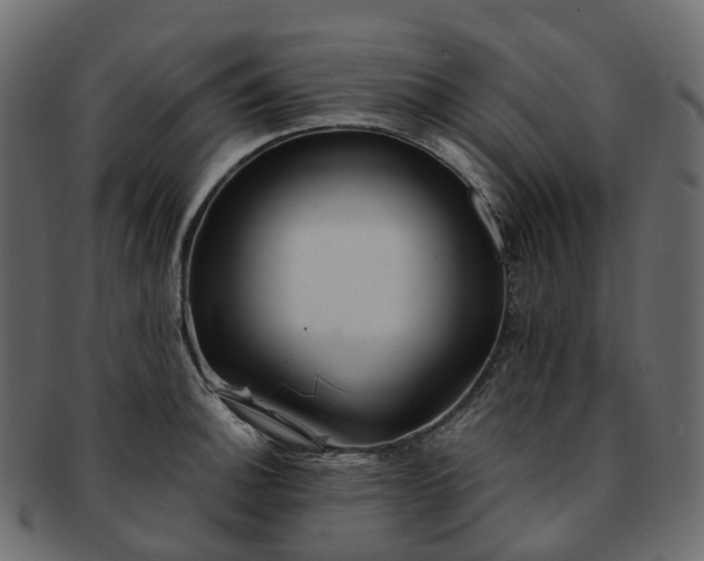 X0000093231140200710031453