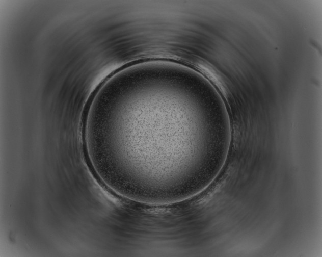 X0000093231141200710031453