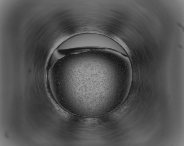 X0000093231144200710031453