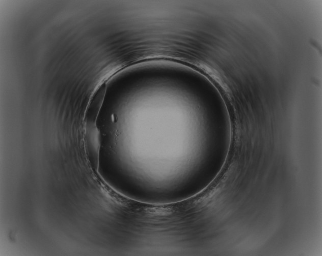 X0000093231145200710031453