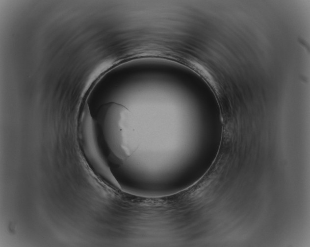 X0000093231146200710031453