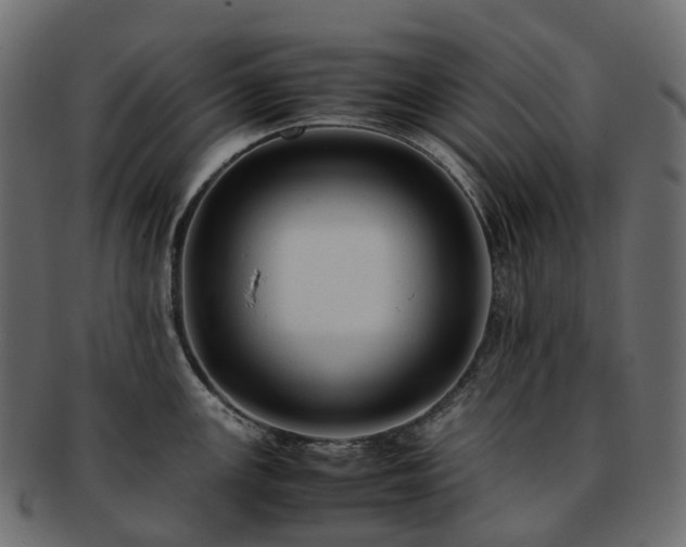 X0000093231147200710031453