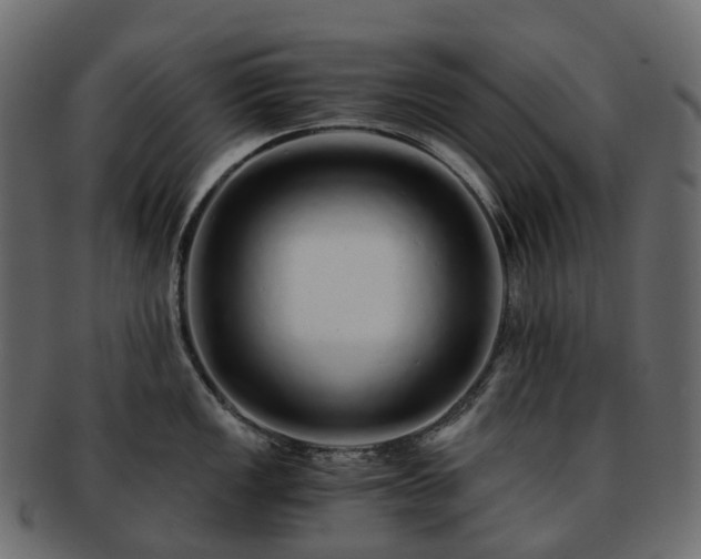 X0000093231149200710031453