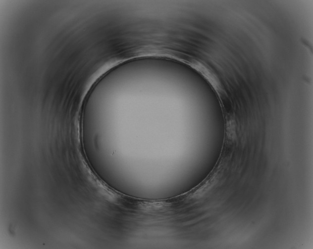 X0000093231150200710031453