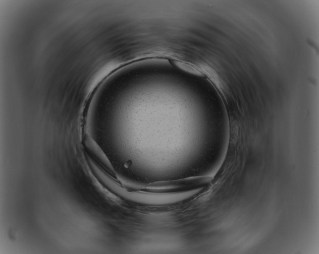 X0000093231151200710031453