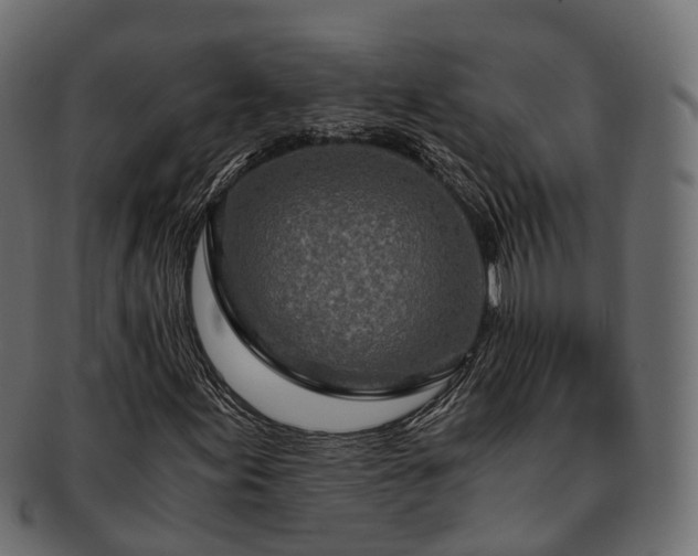 X0000093231155200710031453