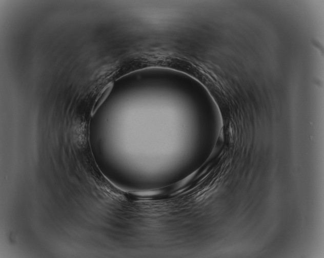 X0000093231156200710031453