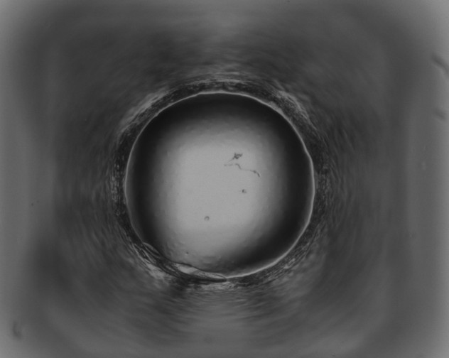 X0000093231159200710031453