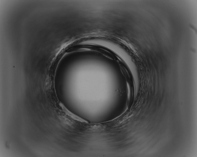 X0000093231160200710031453