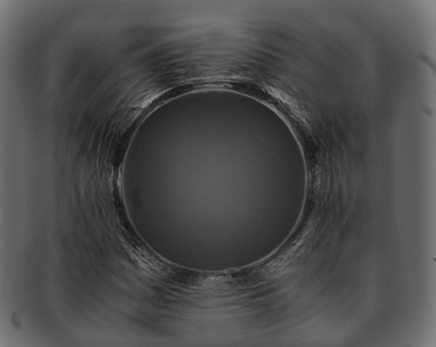 X0000093231161200710031453