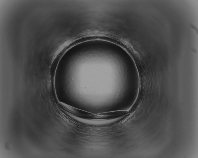 X0000093231167200710031453