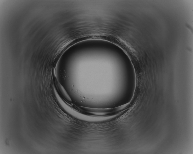 X0000093231169200710031453