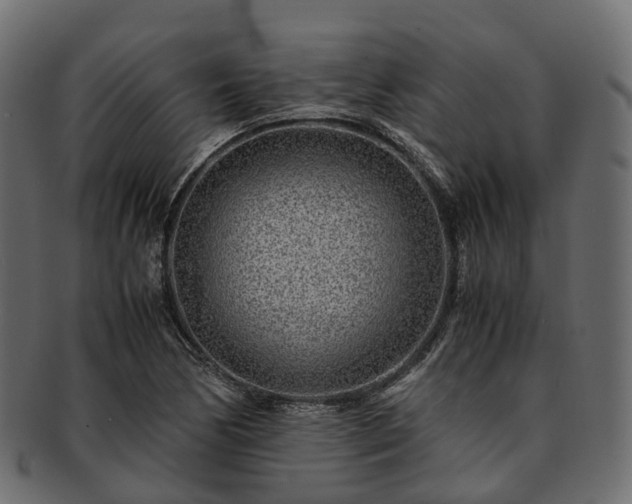 X0000093231170200710031453