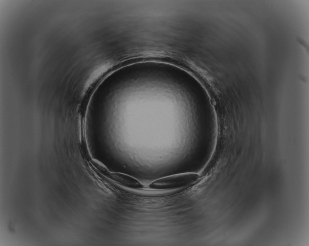 X0000093231171200710031452