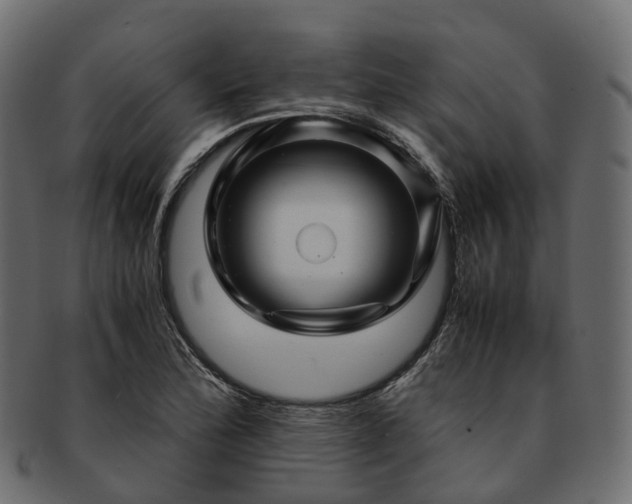 X0000093231172200710031452